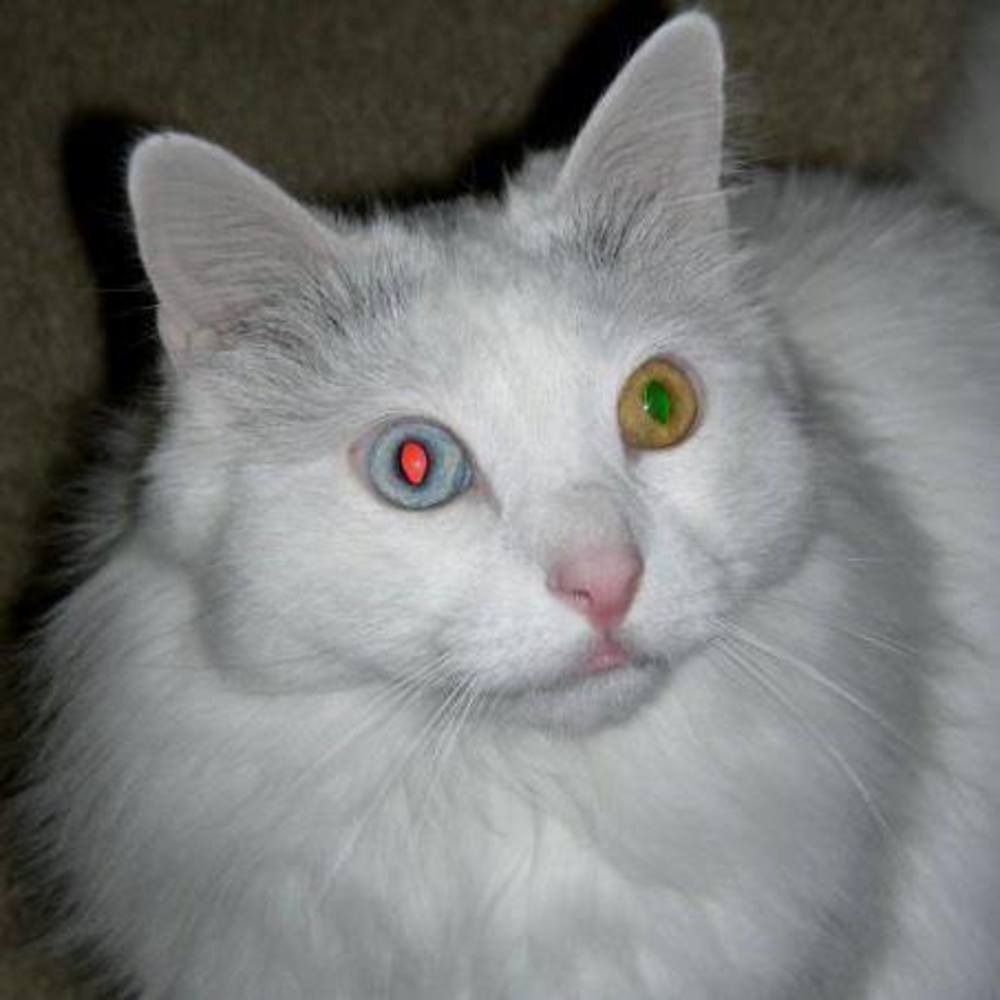 Meet your Posher, Jaymee